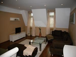 a living room with a couch and a tv at Apartmán Dr. Engla in Karlovy Vary