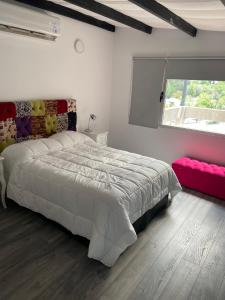 a bedroom with a large bed and a window at Hermoso Loft en pleno centro de Neuquen in Neuquén