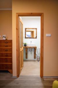 a bathroom with a sink and a mirror at Pension Vyhlídka in Klášterec nad Ohří