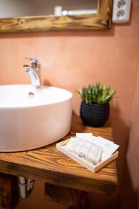 a bathroom counter with a sink and a mirror at Pension Vyhlídka in Klášterec nad Ohří