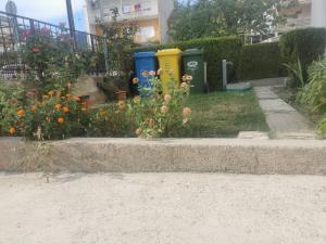 Zahrada ubytování Apartman Dany