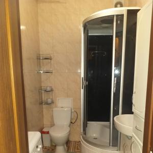 a bathroom with a toilet and a shower and a sink at Затишна, домашня 43м в тихому зеленому місці Поруч Центральний парк Університет in Irpin'