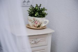 Fotografie z fotogalerie ubytování Kućerak Sofija v destinaci Čortanovci
