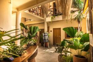 Fotografie z fotogalerie ubytování Hotel Arena v destinaci Ostrov Holbox