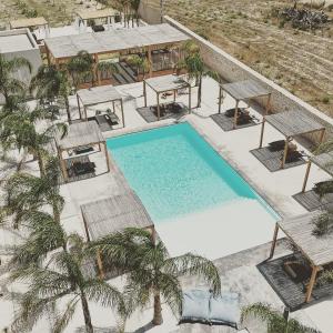 瑪爾薩梅米的住宿－CIRERA SICILY，享有棕榈树游泳池的顶部景致