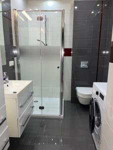 a bathroom with a shower and a sink and a toilet at Apartment Panorama in Międzywodzie