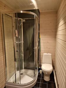 a bathroom with a toilet and a glass shower at Off-the-grid cabin on the island of Senja in northern Norway in Vangsvik