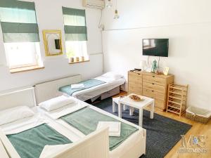 Cette petite chambre comprend 2 lits et une télévision. dans l'établissement Matija Apartment, à Novi Sad