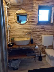 uma casa de banho com um lavatório e um WC em Cabana Everest View Buces -Vulcan Apuseni 