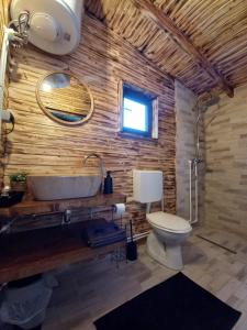 uma casa de banho com um lavatório e um WC em Cabana Everest View Buces -Vulcan Apuseni 