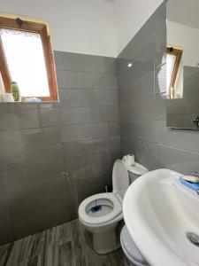 un baño con inodoro y lavabo en Thethi Mountain, en Theth 37 fotos más