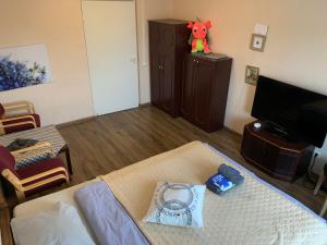 塔爾圖的住宿－K84, Nice 2- bedroom apartment - 2 big beds 1 single bed，一间带床和电视的客厅