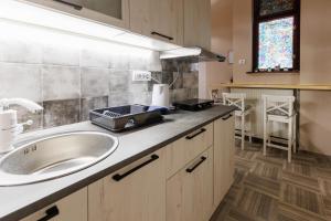cocina con fregadero y encimera en Apartments Borovo, en Subotica