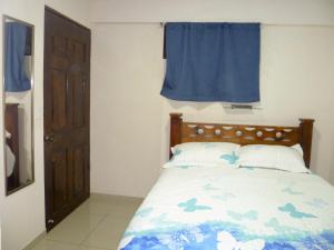sypialnia z łóżkiem z niebieską zasłoną w obiekcie Nice private apartment studio to discover CR w mieście Alajuela