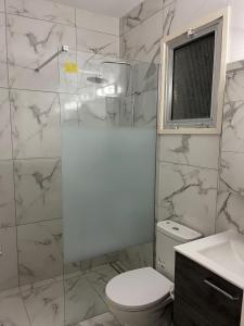 a bathroom with a toilet and a shower and a sink at Luxury 3 bedroom apartment in Nicosia City Center in Nicosia