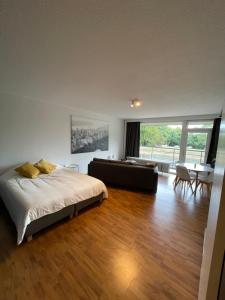 een slaapkamer met een bed en een woonkamer bij Alexis's loft in Luik