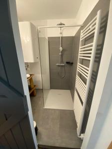 bagno con doccia e porta in vetro di Appartement Rosa a Patergassen