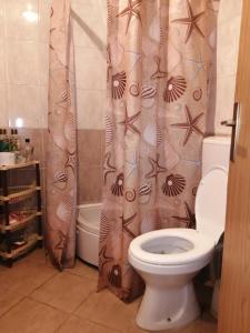 uma casa de banho com um WC e uma cortina de chuveiro em Apartment NAUM M em Ohrid