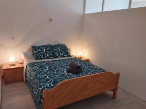 Un dormitorio con una cama con un gato acostado en ella. en Appartements Danciu, en Jonzac