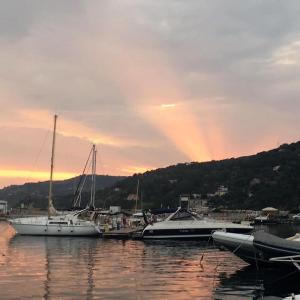 a group of boats docked in a harbor at sunset at Casa Maria Russo in Casal Velino