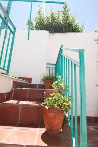 a set of stairs with potted plants on them at Cozy house near to the city center of Granada in Granada