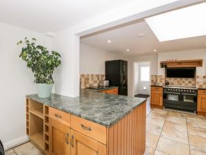 a kitchen with a large island with a potted plant at Somerset House in Bridgwater