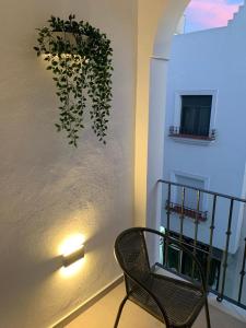 einen Stuhl in einem Raum mit einer Pflanze an der Wand in der Unterkunft APARTAMENTO ENCANTO II in Conil de la Frontera