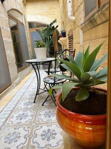 eine Terrasse mit einem Tisch und Stühlen sowie einer Topfpflanze in der Unterkunft Birbuba House 2 in Għarb