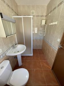 a bathroom with a toilet and a sink and a shower at Casa Rural La Moraleja in Villanueva del Arzobispo