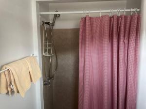 サウス・フォークにあるCozy cabin #4 at Aspen Ridge Cabinsのシャワーカーテン付きのシャワー付きバスルーム