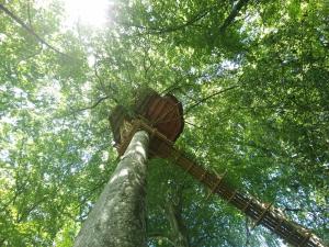 a view from the ground looking up into the trees at Le Domaine de Wail Legends Resort in Wail +5 photos