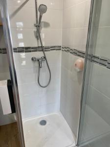 łazienka z prysznicem i szklanymi drzwiami w obiekcie Villa des palmiers, Studio cosy w mieście Villeneuve-sur-Lot