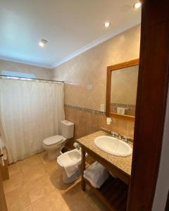 a bathroom with a sink and a toilet and a mirror at Piedra de Agua in Federación