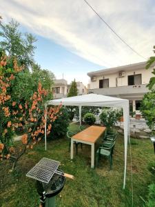 GUEST HOUSE VILA ELEZI外面的花园