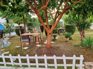 GUEST HOUSE VILA ELEZI外面的花园