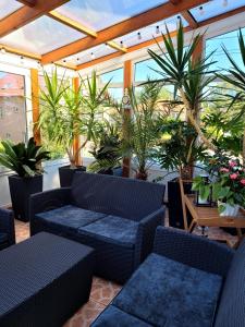 a patio with couches and potted plants at Orka Wakacje in Dźwirzyno