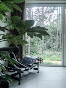 una silla sentada en una habitación con ventana en White Box, en Gierle