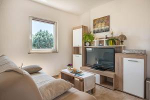 salon z kanapą i telewizorem w obiekcie Apartment Radeki Glavica 112b w mieście Loborika