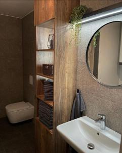 a bathroom with a sink and a mirror and a toilet at Prima Apartmán Dolní Morava in Dolní Morava