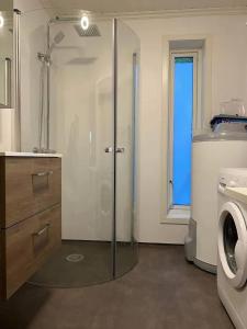 ein Bad mit einer Dusche und einer Waschmaschine in der Unterkunft Lekkert gjestehus med gratis parkering på stedet. in Levanger