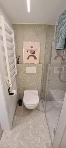 カウナスにあるStay in Kaunas & Radio Cityのトイレとシャワー付きのバスルーム +19枚の写真