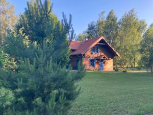 una casa de madera con un árbol delante de ella en Apartamenty Ptasi Przylądek, en Mrągowo
