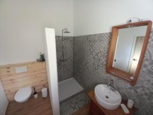ein Bad mit einem Waschbecken, einer Dusche und einem Spiegel in der Unterkunft Pourquoi pas Au Canard in Jurbise