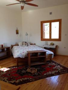 a bedroom with a bed and a ceiling fan at Manolates 360 views sea and mountains in Valeontádes