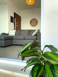 un soggiorno con divano e pianta di Casa Cannoni - Delizioso Appartamento Fronte Mare vista Stretto di Messina a Messina
