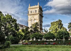 Vonkajšia záhrada v ubytovaní Cozy studio in Vinohrady