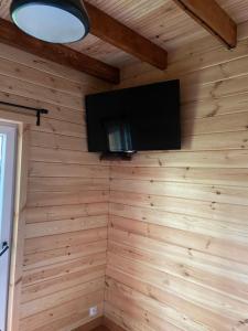 Televízia a/alebo spoločenská miestnosť v ubytovaní Pod Brzozą