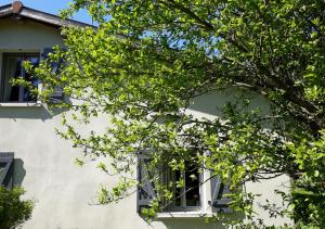 un árbol frente a un edificio blanco con ventana en Le bois de l'étang - Gîte 3 étoiles - 6 pers, 