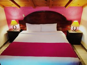 サン・クリストバル・デ・ラス・カサスにあるHotel Antiguaのピンクの壁のベッドルーム1室(大型ベッド1台付)