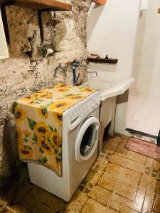 uma máquina de lavar roupa na casa de banho com um lavatório em Rustico San Jacopo em Gallicano